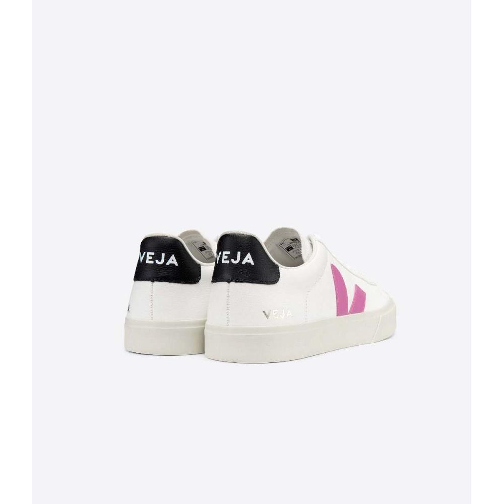 Veja CAMPO CHROMEFREE Low Tops Sneakers Dame White/Purple | NO 597FDN